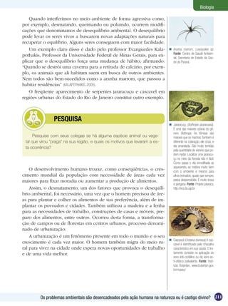Biologia

    Quando interferimos no meio ambiente de forma agressiva como,
por exemplo, desmatando, queimando ou poluindo, ocorrem modifi-
cações que denominamos de desequilíbrio ambiental. O desequilíbrio
pode levar os seres vivos a buscarem novas adaptações naturais para
recuperar o equilíbrio. Alguns seres conseguem com maior facilidade.
    Um exemplo claro disso é dado pelo professor Evanguedes Kala-             Aranha marrom, Loxosceles sp.
                                                                               Fonte: Centro de Saúde Ambien-
pothakis, Professor da Universidade Federal de Minas Gerais, para ex-          tal, Secretaria de Estado da Saú-
plicar que o desequilíbrio força uma mudança de hábito, afirmando:             de do Paraná.
“Quando se destrói uma caverna para a retirada de calcário, por exem-
plo, os animais que ali habitam saem em busca de outros ambientes.
Nem todos são bem-sucedidos como a aranha marrom, que passou a
habitar residências” (KALAPOTHAKIS, 2005).
    O freqüente aparecimento de serpentes jararacuçu e cascavel em
regiões urbanas do Estado do Rio de Janeiro constitui outro exemplo.



         	      PESQUISA
                                                                              Jararacuçu (Bothrops jararacussu).
                                                                               É uma das maiores cobras do gê-
                                                                               nero Bothrops. As fêmeas são
      Pesquise com seus colegas se há alguma espécie animal ou vege-           maiores que os machos. Também é
 tal que virou “praga” na sua região, e quais os motivos que levaram a es-     diferente na coloração, ele cinza, e
                                                                               ela amarelada. São muito temidas
 ta ocorrência?
                                                                               pela quantidade de veneno que po-
                                                                               dem injetar. Localizar uma jararacu-
                                                                               çu no meio da floresta não é fácil.
                                                                               Como passa o dia enrodilhada se
                                                                               aquecendo, se mistura muito bem
    O desenvolvimento humano trouxe, como conseqüências, o cres-               com o ambiente e mesmo para
cimento mundial da população com necessidade de áreas cada vez                 olhos treinados, quase que sempre,
maiores para fixar moradia ou aumentar a produção de alimentos.                passa despercebida. É muito brava
                                                                               e perigosa. Fonte: Projeto jararaca,
    Assim, o desmatamento, um dos fatores que provoca o desequilí-             http://eco.ib.usp.br
brio ambiental, foi necessário, uma vez que o homem precisou de áre-
as para plantar e colher os alimentos de sua preferência, além de im-
plantar os povoados e cidades. Também utilizou a madeira e a lenha
para as necessidades de trabalho, construções de casas e móveis, pre-
paro dos alimentos, entre outros. Ocorreu desta forma, a transforma-
ção de campos ou de florestas em centros urbanos, processo denomi-
nado de urbanização.
    A urbanização é um fenômeno presente em todo o mundo e o seu
                                                                              Cascavel (Crotalus durissus) A cas-
crescimento é cada vez maior. O homem também migra do meio ru-                 cavel é identificada pelo chocalho
ral para viver na cidade onde espera novas oportunidades de trabalho           característico em sua cauda. O tra-
e de uma vida melhor.                                                          tamento consiste na aplicação do
                                                                               soro anti-crotálico ou do soro an-
                                                                               ti-ofídico polivalente. Fonte: Insti-
                                                                               tuto Butantan, www.butantan.gov.
                                                                               br/museu/




         Os problemas ambientais são desencadeados pela ação humana na natureza ou é castigo divino? 211
 