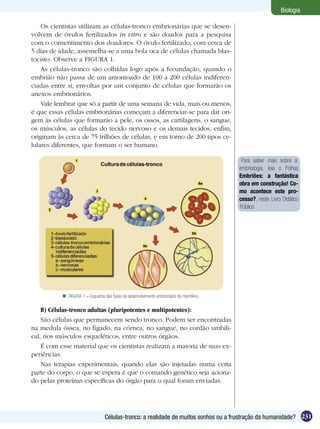 Biologia

    Os cientistas utilizam as células-tronco embrionárias que se desen-
volvem de óvulos fertilizados in vitro e são doados para a pesquisa
com o consentimento dos doadores. O óvulo fertilizado, com cerca de
5 dias de idade, assemelha-se a uma bola oca de células chamada blas-
tocisto. Observe a FIGURA 1.
    As células-tronco são colhidas logo após a fecundação, quando o
embrião não passa de um amontoado de 100 a 200 células indiferen-
ciadas entre si, envoltas por um conjunto de células que formarão os
anexos embrionários.
    Vale lembrar que só a partir de uma semana de vida, mais ou menos,
é que essas células embrionárias começam a diferenciar-se para dar ori-
gem às células que formarão a pele, os ossos, as cartilagens, o sangue,
os músculos, as células do tecido nervoso e os demais tecidos, enfim,
originam às cerca de 75 trilhões de células, e em torno de 200 tipos ce-
lulares diferentes, que formam o ser humano.

                                                                                         Para saber mais sobre a
                                                                                        embriologia, leia o Folhas
                                                                                        Embriões: a fantástica
                                                                                        obra em construção! Co-
                                                                                        mo acontece este pro-
                                                                                        cesso?, neste Livro Didático
                                                                                        Público.




            FIGURA 1 – Esquema das fases de desenvolvimento embrionário de mamífero.

    B) Células-tronco adultas (pluripotentes e multipotentes):
    São células que permanecem sendo tronco. Podem ser encontradas
na medula óssea, no fígado, na córnea, no sangue, no cordão umbili-
cal, nos músculos esqueléticos, entre outros órgãos.
    É com esse material que os cientistas realizam a maioria de suas ex-
periências.
    Nas terapias experimentais, quando elas são injetadas numa certa
parte do corpo, o que se espera é que o comando genético seja aciona-
do pelas proteínas específicas do órgão para o qual foram enviadas.




                                 Células-tronco: a realidade de muitos sonhos ou a frustração da humanidade? 231
 