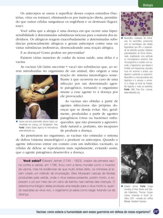 Biologia

    Os anticorpos se unem à superfície desses corpos estranhos (bac-
térias, vírus ou toxinas), eliminando-os por inativação direta, permitin-
do que outras células sanguíneas os englobem e os destruam (fagoci-
tose).
    Você sabia que a alergia é uma doença em que ocorre uma hiper-
sensibilidade à determinadas substâncias inócuas para a maioria dos in-
                                                                                              Neutrófilos rodeados de hemá-
divíduos. Os alérgicos reagem exacerbadamente a determinadas subs-                             cias. Os neutrófilos, juntamente
tâncias potencialmente alérgicas e geram anticorpos contra uma ou                              com os macrófagos, são células
várias substâncias inofensivas, desencadeando uma reação alérgica.                             fagocitárias que têm a capacida-
                                                                                               de de estender porções celulares
    E as doenças? Como podem ser prevenidas?                                                   (pseudópodes) de forma direcio-
                                                                                               nada, englobando uma partícula
    Existem várias maneiras de cuidar da nossa saúde, uma delas é a                            ou microrganismo estranho. Este
vacina.                                                                                        microrganismo é contido num va-
                                                                                               cúolo, o fagossoma, que depois é
    As vacinas (do latim vaccinia = vaca) são substâncias que, ao se-                          fundido com lisossomas, vacúolos
rem introduzidas no organismo de um animal, dão origem a uma                                   ricos em enzimas e ácidos, que
                                                   reação do sistema imunológico seme-         digerem a partícula ou organismo.
                                                                                               Neutrófilo é o mais abundante dos
                                                   lhante à que ocorreria no caso de uma       fagócitos e é sempre o primei-
                                                   infecção por um determinado agen-           ro a chegar ao local da invasão.
                                                                                               Ele fagocita e mata as bactérias.
                                                   te patogênico, tornando o organismo         Fonte: GNU Free Doc. License,
                                                   imune a esse agente (e à doença por         www.wikipedia.org
                                                   ele provocada).
                                                       As vacinas são obtidas a partir de
                                                   agentes infecciosos das próprias do-
                                                   enças que se deseja evitar. São, geral-
                                                   mente, produzidas a partir de agentes
                                                   patogênicos (vírus ou bactérias) enfra-
 Vacina oral anti-poliomielite (Vacina Sabin) ad- quecidos, que não possuem a agressivi-
   ministrada em criança, em Bangladesh. Ásia.
   Fonte: United States Agency for International, dade natural e, portanto, são incapazes
   www.wikipedia.org                               de produzir a doença.
    Ao penetrarem no organismo, as vacinas vão estimular o sistema
de defesa (sistema imunológico) a produzir os anticorpos. Quando o
agente infeccioso entrar em contato com um indivíduo vacinado, as
células de defesa se reproduzem mais rapidamente, evitando assim,
que o agente patogênico desenvolva a doença.

      Você sabia? Edward Jenner (1749 - 1823), criador da primeira vaci-
  na contra a varíola, em 1796, ficou com a fama mundial como o inventor
  da vacina, mas há evidências de que muito antes disto, os chineses já te-
  riam criado um método de imunização. Eles trituravam cascas de feridas
  produzidas pela varíola, onde o vírus estava presente, porém morto, e so-
  pravam o pó por meio de um cano de bambu nas narinas das crianças. O
  sistema imunológico delas produzia uma reação para o vírus morto e, quan-                   Edward Jenner. Fonte: Image
  do expostas ao vírus vivo, o organismo já sabia como reagir, livrando-os da                  courtesy of Rare Books and Spe-
                                                                                               cial Collections, Thomas Cooper
  doença.                                                                                      Library, University of South Ca-
                                                                                               rolina, USA - enviada por Jeffrey
                                                                                               Makala, Assistant Librarian.



                  Vacinas: como estaria a humanidade sem esses guerreiros em defesa de nosso organismo? 257
 