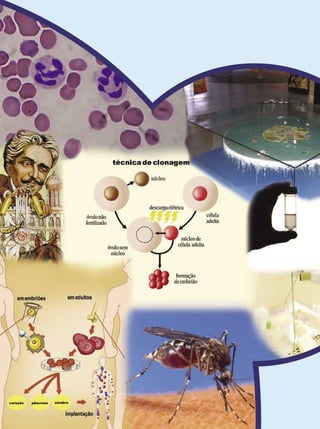 Ensino Médio




268 Implicações dos Avanços Biológicos no Fenômeno VIDA
 