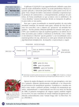 Ensino Médio

      Para saber mais so-                  O glifosato (C3H8NO5P) é um organofosforado, definido como deri-
     bre agrotóxicos, leia o           vado do ácido ortofosfórico (H3PO4) ou ácido pirofosfórico (H4P2O7) e,
     Folhas Você toma vene-            quando aplicado, é absorvido pelas folhas e pelas partes novas do ve-
     no?, no Livro Didático            getal. Tem a função de inibir o mecanismo enzimático responsável pe-
     Público de Geografia.             la produção de aminoácidos e, conseqüentemente, produção de pro-
                                       teínas, de forma semelhante ao que acontece com os antibióticos. As
                                       “ervas daninhas” morrem lentamente devido ao transporte do glifosa-
                                       to para todas as suas partes.
                                           Para que o gene recombinado ao material genético da soja tenha
       Para saber mais so-
     bre bactérias e vírus,
                                       atividade constante, foi inserido outro gene, retirado do vírus do mo-
     leia os Folhas Bactérias:         saico da couve-flor, com o objetivo de “promover” tal atividade bio-
     um universo microscópi-           química. Da flor petúnia (Petunia hybrida) foi retirado outro gene, o
     co e Vírus: fluído vene-          CTP4, que contribui na cópia da seqüência genética e na síntese da en-
     noso, no Livro Didático           zima necessária para conferir a tolerância ao herbicida. Com o objeti-
      Público de Biologia.             vo de demarcar o final do “pacote genético” a ser recombinado com o
                                       material genético da soja, adicionou-se outro gene retirado da bactéria
                                       Agrobacterium tumefasciens. Acompanhe a representação a seguir.

                                                transportador sinal de terminação


                                                                 Gene de tolerância a herbicida                                      Seqüência de
     DNA SOJA                Promotor E355          CTP4                                                        NOS 3
                                                                 EPSPS CP4                                                          genes autorizada


                                                    inserto       aprovado

                                                                  E35S - gene de vírus
                                                                  CTP4 - gene da petúnia
                                                                  EPSPSCP4 - gene de bactéria
                                                                  NOS3 - gene de bactéria

                                        Representação da seqüência genética aprovada para ser inserida na soja. Fonte: Cartilha “Transgênicos: a verdade por
                                         trás dos mitos”. Disponível em http://www.greenpeace.org.br/transgenicos/pdf/cartilha.pdf. Acesso em: 21 dez. 2007.


                                           Apesar da ampla divulgação em torno da soja transgênica, este não
                                       foi o primeiro alimento geneticamente modificado a ser desenvolvi-
                                       do por técnicas de manipulação genética. Considera-se a insulina sin-
                                       tética como sendo o primeiro produto, resultado da manipulação ge-
                                       nética, industrializado e comercializado nos EUA no início da década
                                       de 1980. O primeiro transgênico de origem vegetal, também originá-
     FIGURA 3 – Tomate longa vida.
      Fonte: http://www.onmeda.de/     rio nos EUA, foi uma variedade de tomate (Solanun lycopersicum) co-
      ernaehrung/lebensmittel_heute/   nhecida comercialmente como “tomate longa vida” ou Flavr-Savr. Ve-
      gruene_gentechnologie/flavr_     ja a FIGURA 3.
      savr_tomate.html



284 Implicações dos Avanços Biológicos no Fenômeno VIDA
 