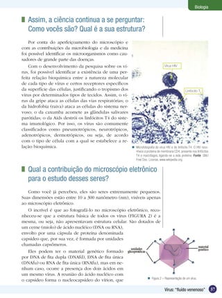 Biologia

 	 Assim, a ciência continua a se perguntar:
   Como vocês são? Qual é a sua estrutura?
    Por conta do aperfeiçoamento do microscópio e
com as contribuições da microbiologia e da medicina
foi possível identificar os microorganismos como cau-
sadores de grande parte das doenças.
    Com o desenvolvimento da pesquisa sobre os ví-                                       Vírus HIV
rus, foi possível identificar a existência de uma per-
feita relação bioquímica entre a natureza molecular
de cada tipo de vírus e certos receptores específicos
da superfície das células, justificando o tropismo dos                                                   Linfócito T4
vírus por determinados tipos de tecidos. Assim, o ví-
rus da gripe ataca as células das vias respiratórias; o
da hidrofobia (raiva) ataca as células do sistema ner-
voso; o da caxumba acomete as glândulas salivares
parótidas; o da Aids destrói os linfócitos T4 do siste-
ma imunológico. Por isso, os vírus são comumente
classificados como pneumotrópicos, neurotrópicos,
adenotrópicos, dermotrópicos, ou seja, de acordo
com o tipo de célula com a qual se estabelece a re-
lação bioquímica.                                               Microfotografia do vírus HIV e do linfócito T4. O HIV reco-
                                                                 nhece a proteína de membrana CD4, presente nos linfócitos
                                                                 T4 e macrófagos, ligando-se a esta proteína. Fonte: GNU
                                                                 Free Doc. License, www.wikipedia.org


 	 Qual a contribuição do microscópio eletrônico
   para o estudo desses seres?
   Como você já percebeu, eles são seres extremamente pequenos.
Suas dimensões estão entre 10 a 300 nanômetro (nm), visíveis apenas
ao microscópio eletrônico.
   O incrível é que ao fotografá-lo no microscópio eletrônico, reco-
nheceu-se que a estrutura básica de todos os vírus (FIGURA 2) é a
mesma, ou seja, não apresentavam estrutura celular. São dotados de
um cerne (miolo) de ácido nucléico (DNA ou RNA),
envolto por uma cápsula de proteína denominada
capsídeo que, por sua vez, é formada por unidades
chamadas capsômeros.
   Eles podem ter o material genético formado
por DNA de fita dupla (DNAfd), DNA de fita única
(DNAfu) ou RNA de fita única (RNAfu), mas em ne-
nhum caso, ocorre a presença dos dois ácidos em
um mesmo vírus. A reunião do ácido nucléico com
                                                              Figura 2 – Representação de um vírus.
o capsídeo forma o nucleocapsídeo do vírion, que

                                                                                         Vírus: “fluído venenoso”              37
 