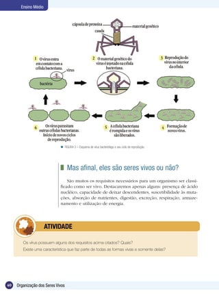 Ensino Médio




                              FIGURA 3 – Esquema de vírus bacteriófago e seu ciclo de reprodução.




                               	 Mas afinal, eles são seres vivos ou não?
                                 São muitos os requisitos necessários para um organismo ser classi-
                             ficado como ser vivo. Destacaremos apenas alguns: presença de ácido
                             nucléico, capacidade de deixar descendentes, suscetibilidade às muta-
                             ções, absorção de nutrientes, digestão, excreção, respiração, armaze-
                             namento e utilização de energia.




             	        ATIVIDADE

        Os vírus possuem alguns dos requisitos acima citados? Quais?
        Existe uma característica que faz parte de todas as formas vivas e somente delas?




40   Organização dos Seres Vivos
 