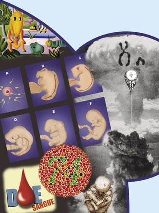 Ensino Médio




46   Organização dos Seres Vivos
 