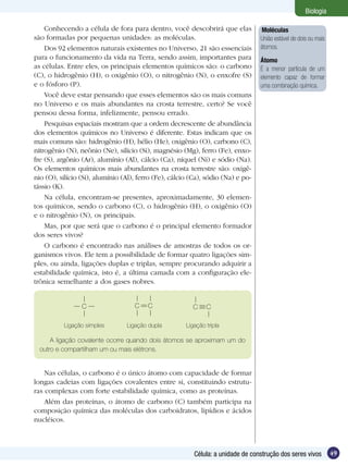 Biologia

    Conhecendo a célula de fora para dentro, você descobrirá que elas             Moléculas
são formadas por pequenas unidades: as moléculas.                                 União estável de dois ou mais
    Dos 92 elementos naturais existentes no Universo, 21 são essenciais           átomos.
para o funcionamento da vida na Terra, sendo assim, importantes para              Átomo
as células. Entre eles, os principais elementos químicos são: o carbono           É a menor partícula de um
(C), o hidrogênio (H), o oxigênio (O), o nitrogênio (N), o enxofre (S)            elemento capaz de formar
e o fósforo (P).                                                                  uma combinação química.
    Você deve estar pensando que esses elementos são os mais comuns
no Universo e os mais abundantes na crosta terrestre, certo? Se você
pensou dessa forma, infelizmente, pensou errado.
    Pesquisas espaciais mostram que a ordem decrescente de abundância
dos elementos químicos no Universo é diferente. Estas indicam que os
mais comuns são: hidrogênio (H), hélio (He), oxigênio (O), carbono (C),
nitrogênio (N), neônio (Ne), silício (Si), magnésio (Mg), ferro (Fe), enxo-
fre (S), argônio (Ar), alumínio (Al), cálcio (Ca), níquel (Ni) e sódio (Na).
Os elementos químicos mais abundantes na crosta terrestre são: oxigê-
nio (O), silício (Si), alumínio (Al), ferro (Fe), cálcio (Ca), sódio (Na) e po-
tássio (K).
    Na célula, encontram-se presentes, aproximadamente, 30 elemen-
tos químicos, sendo o carbono (C), o hidrogênio (H), o oxigênio (O)
e o nitrogênio (N), os principais.
    Mas, por que será que o carbono é o principal elemento formador
dos seres vivos?
    O carbono é encontrado nas análises de amostras de todos os or-
ganismos vivos. Ele tem a possibilidade de formar quatro ligações sim-
ples, ou ainda, ligações duplas e triplas, sempre procurando adquirir a
estabilidade química, isto é, a última camada com a configuração ele-
trônica semelhante a dos gases nobres.


                 C                  C    C               C     C

          Ligação simples        Ligação dupla         Ligação tripla

      A ligação covalente ocorre quando dois átomos se aproximam um do
  outro e compartilham um ou mais elétrons.


    Nas células, o carbono é o único átomo com capacidade de formar
longas cadeias com ligações covalentes entre si, constituindo estrutu-
ras complexas com forte estabilidade química, como as proteínas.
    Além das proteínas, o átomo de carbono (C) também participa na
composição química das moléculas dos carboidratos, lipídios e ácidos
nucléicos.



                                                          Célula: a unidade de construção dos seres vivos         49
 