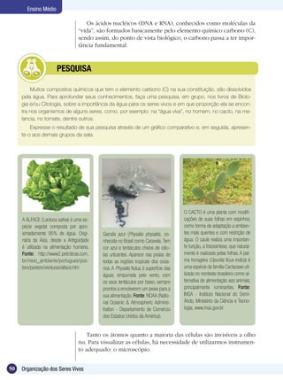 Ensino Médio

                                     Os ácidos nucléicos (DNA e RNA), conhecidos como moléculas da
                                  “vida”, são formados basicamente pelo elemento químico carbono (C),
                                  sendo assim, do ponto de vista biológico, o carbono passa a ter impor-
                                  tância fundamental.



              	        PESQUISA

         Muitos compostos químicos que tem o elemento carbono (C) na sua constituição, são dissolvidos
     pela água. Para aprofundar seus conhecimentos, faça uma pesquisa, em grupo, nos livros de Biolo-
     gia e/ou Citologia, sobre a importância da água para os seres vivos e em que proporção ela se encon-
     tra nos organismos de alguns seres, como, por exemplo: na “água viva”, no homem, no cacto, na me-
     lancia, no tomate, dentre outros.
         Expresse o resultado de sua pesquisa através de um gráfico comparativo e, em seguida, apresen-
     te-o aos demais grupos da sala.




                                                                                      O CACTO é uma planta com modifi-
     A ALFACE (Lactuca sativa) é uma es-                                              cações de suas folhas em espinhos,
     pécie vegetal composta por apro-                                                 como forma de adaptação a ambien-
     ximadamente 95% de água. Origi-        Garrafa azul (Physalia physalis), co-     tes mais quentes e com restrição de
     nária da Ásia, desde a Antiguidade     nhecida no Brasil como Caravela. Tem      água. O caule realiza uma importan-
     é utilizada na alimentação humana.     cor azul e tentáculos cheios de célu-     te função, a fotossíntese, que natural-
     Fonte: http://www2.petrobras.com.      las urticantes. Aparece nas praias de     mente é realizada pelas folhas. A pal-
     br/meio_ambiente/portugues/pos-        todas as regiões tropicais dos ocea-      ma forrageira (Opuntia fícus-indica) é
     ters/posters/verduras/alface.htm       nos. A Physalia flutua à superfície das   uma espécie da família Cactaceae uti-
                                            águas, empurrada pelo vento, com          lizada no nordeste brasileiro como al-
                                            os seus tentáculos por baixo, sempre      ternativa de alimentação aos animais,
                                            prontos a envolverem um peixe para a      principalmente ruminantes. Fonte:
                                            sua alimentação. Fonte: NOAA (Natio-      INSA - Instituto Nacional do Semi-
                                            nal Oceanic & Atmospheric Adminis-        Árido, Ministério da Ciência e Tecno-
                                            tration - Departamento de Comércio        logia, www.insa.gov.br
                                            dos Estados Unidos da América).


                                      Tanto os átomos quanto a maioria das células são invisíveis a olho
                                  nu. Para visualizar as células, há necessidade de utilizarmos instrumen-
                                  to adequado: o microscópio.


50   Organização dos Seres Vivos
 