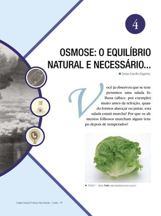 Biologia




                                                                                                               4
                                       osmose: o equilÍbrio
                                     natural e necessário...
                                                                                                 Denise Estorilho Baganha1



                                                                        ocê já observou que se tem-
                                                                        perarmos uma salada fo-
                                                                       lhosa (alface, por exemplo)
                                                                    muito antes da refeição, quan-
                                                                  do formos almoçar ou jantar, esta
                                                              salada estará murcha? Por que os ali-
                                                            mentos folhosos murcham algum tem-
                                                           po depois de temperados?




                                                            FIGURA 1 - Alface. Fonte: www.diaadiaeducacao.pr.gov.br




Colégio Estadual Professor Elias Abrahão - Curitiba - PR
1




                                                                       Osmose: o equilíbrio natural e necessário...               63
 