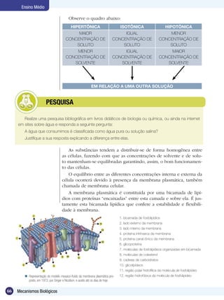 Ensino Médio

                                          Observe o quadro abaixo:
                                            HIPERTÔNICA                          ISOTÔNICA                        HIPOTÔNICA
                                             MAIOR                               IGUAL                            MENOR
                                        CONCENTRAÇÃO DE                     CONCENTRAÇÃO DE                   CONCENTRAÇÃO DE
                                            SOLUTO                              SOLUTO                            SOLUTO
                                            MENOR                                IGUAL                             MAIOR
                                        CONCENTRAÇÃO DE                     CONCENTRAÇÃO DE                   CONCENTRAÇÃO DE
                                           SOLVENTE                            SOLVENTE                          SOLVENTE




                                                           EM RELAÇÃO A UMA OUTRA SOLUÇÃO


              	         PESQUISA

        Realize uma pesquisa bibliográfica em livros didáticos de biologia ou química, ou ainda na internet
     em sites sobre água e responda a seguinte pergunta:
        A água que consumimos é classificada como água pura ou solução salina?
        Justifique a sua resposta explicando a diferença entre elas.

                                        As substâncias tendem a distribuir-se de forma homogênea entre
                                     as células, fazendo com que as concentrações de solvente e de solu-
                                     to mantenham-se equilibradas garantindo, assim, o bom funcionamen-
                                     to das células.
                                        O equilíbrio entre as diferentes concentrações interna e externa da
                                     célula ocorrerá devido à presença da membrana plasmática, também
                                     chamada de membrana celular.
                                        A membrana plasmática é constituída por uma bicamada de lipí-
                                     dios com proteínas “encaixadas” entre esta camada e sobre ela. É jus-
                                     tamente esta bicamada lipídica que confere a estabilidade e flexibili-
                                     dade à membrana.
                                                                                 1. bicamada de fosfolipídios
                                                                                 2. lado externo da membrana
                                                                                 3. lado interno da membrana
                                                                                 4. proteína intrínseca da membrana
                                                                                 5. proteína canal iônico da membrana
                                                                                 6. glicoproteína
                                                                                 7. moléculas de fosfolipídeos organizadas em bicamada
                                                                                 8. moléculas de colesterol
                                                                                 9. cadeias de carboidratos
                                                                                 10. glicolipídeos
                                                                                 11. região polar hidrofílica da molécula de fosfolipídeo
         Representação do modelo mosaico-fluido da membrana plasmática pro-     12. região hidrofóbica da molécula de fosfolipídeo
          posto, em 1972, por Singer e Nicolson, e aceito até os dias de hoje.


66   Mecanismos Biológicos
 
