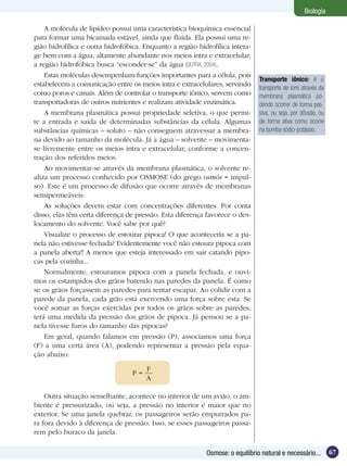 Biologia

    A molécula de lipídeo possui uma característica bioquímica essencial
para formar uma bicamada estável, ainda que fluida. Ela possui uma re-
gião hidrofílica e outra hidrofóbica. Enquanto a região hidrofílica intera-
ge bem com a água, altamente abundante nos meios intra e extracelular,
a região hidrofóbica busca “esconder-se” da água (DUTRA, 2004).
    Estas moléculas desempenham funções importantes para a célula, pois
                                                                               Transporte iônico: é o
estabelecem a comunicação entre os meios intra e extracelulares, servindo
                                                                               transporte de íons através da
como poros e canais. Além de controlar o transporte iônico, servem como        membrana plasmática po-
transportadoras de outros nutrientes e realizam atividade enzimática.          dendo ocorrer de forma pas-
    A membrana plasmática possui propriedade seletiva, o que permi-            siva, ou seja, por difusão, ou
te a entrada e saída de determinadas substâncias da célula. Algumas            de forma ativa como ocorre
substâncias químicas – soluto – não conseguem atravessar a membra-             na bomba sódio-potássio.
na devido ao tamanho da molécula. Já a água – solvente – movimenta-
se livremente entre os meios intra e extracelular, conforme a concen-
tração dos referidos meios.
    Ao movimentar-se através da membrana plasmática, o solvente re-
aliza um processo conhecido por OSMOSE (do grego osmós = impul-
so). Este é um processo de difusão que ocorre através de membranas
semipermeáveis.
    As soluções devem estar com concentrações diferentes. Por conta
disso, elas têm certa diferença de pressão. Esta diferença favorece o des-
locamento do solvente. Você sabe por quê?
    Visualize o processo de estourar pipoca! O que aconteceria se a pa-
nela não estivesse fechada? Evidentemente você não estoura pipoca com
a panela aberta!! A menos que esteja interessado em sair catando pipo-
cas pela cozinha...
    Normalmente, estouramos pipoca com a panela fechada, e ouvi-
mos os estampidos dos grãos batendo nas paredes da panela. É como
se os grãos forçassem as paredes para tentar escapar. Ao colidir com a
parede da panela, cada grão está exercendo uma força sobre esta. Se
você somar as forças exercidas por todos os grãos sobre as paredes,
terá uma medida da pressão dos grãos de pipoca. Já pensou se a pa-
nela tivesse furos do tamanho das pipocas?
    Em geral, quando falamos em pressão (P), associamos uma força
(F) a uma certa área (A), podendo representar a pressão pela equa-
ção abaixo:

                                       F
                                  P=
                                       A

    Outra situação semelhante, acontece no interior de um avião, o am-
biente é pressurizado, ou seja, a pressão no interior é maior que no
exterior. Se uma janela quebrar, os passageiros serão empurrados pa-
ra fora devido à diferença de pressão. Isso, se esses passageiros passa-
rem pelo buraco da janela.

                                                           Osmose: o equilíbrio natural e necessário...         67
 