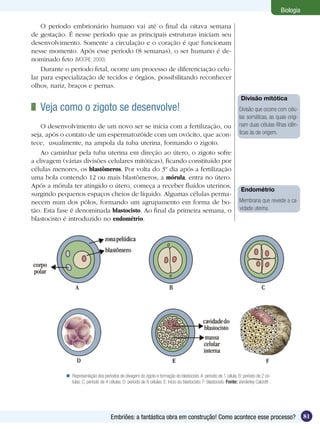 Biologia

    O período embrionário humano vai até o final da oitava semana
de gestação. É nesse período que as principais estruturas iniciam seu
desenvolvimento. Somente a circulação e o coração é que funcionam
nesse momento. Após esse período (8 semanas), o ser humano é de-
nominado feto (MOORE, 2000).
    Durante o período fetal, ocorre um processo de diferenciação celu-
lar para especialização de tecidos e órgãos, possibilitando reconhecer
olhos, nariz, braços e pernas.
                                                                                                                          Divisão mitótica
 	 Veja como o zigoto se desenvolve!                                                                                     Divisão que ocorre com célu-
                                                                                                                         las somáticas, as quais origi-
    O desenvolvimento de um novo ser se inicia com a fertilização, ou                                                    nam duas células-filhas idên-
seja, após o contato de um espermatozóide com um ovócito, que acon-                                                      ticas às de origem.
tece, usualmente, na ampola da tuba uterina, formando o zigoto.
    Ao caminhar pela tuba uterina em direção ao útero, o zigoto sofre
a clivagem (várias divisões celulares mitóticas), ficando constituído por
células menores, os blastômeros. Por volta do 3º dia após a fertilização
uma bola contendo 12 ou mais blastômeros, a mórula, entra no útero.
Após a mórula ter atingido o útero, começa a receber fluídos uterinos,
                                                                                                                          Endométrio
surgindo pequenos espaços cheios de líquido. Algumas células perma-
necem num dos pólos, formando um agrupamento em forma de bo-                                                             Membrana que reveste a ca-
tão. Esta fase é denominada blastocisto. Ao final da primeira semana, o                                                  vidade uterina.
blastocisto é introduzido no endométrio.




             Representação dos períodos de clivagem do zigoto e formação do blastocisto. A: período de 1 célula; B: período de 2 cé-
              lulas; C: período de 4 células; D: período de 8 células; E: início do blastocisto; F: blastocisto. Fonte: Vanderley Calizotti .




                                        Embriões: a fantástica obra em construção! Como acontece esse processo?                                            81
 
