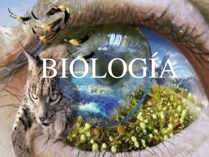 Cursos relacionados a biologia