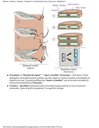 Matérias > Biologia > Citologia > Citoplasma > Composição Química e Bioquímica - Metabolismo




                              Bipartição simples
                                   Euglena
                                                                                          Bipartição simples
                                                                                             Diatomácea
      q   Pyrrophyta “floração das águas” = “maré vermelha” (Gonyaulax = H2O doce). Forma
          populações extraordinariamente grandes, que dão origem a extensas manchas avermelhadas na
          superfície do mar. O grande problema das “marés vermelhas” está na elevada toxicidade da
          neurotoxina produzida por Gonyaulax.
      q   Noctiluca = pirrófitas bioluminescentes (convertem energia química em luz) parecem
          minúsculas “gotas de geléia transparente” na superfície da água.




file:///C|/html_10emtudo/Biologia/html_biologia_total.htm (105 of 472) [05/10/2001 21:56:13]
 