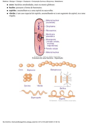Matérias > Biologia > Citologia > Citoplasma > Composição Química e Bioquímica - Metabolismo

      q   cocos: bactérias arredondadas, mais ou menos globosas:
      q   bacilos: possuem a forma de bastonetes:
      q   espirilos: assemelham-se a uma espiral ou saca-rolha:
      q   vibrião: é um caso especial de espirilo, assemelhando-se a um segmento da espiral, ou a uma
          vírgula;




                                               Estrutura de uma bactéria - bipartição




file:///C|/html_10emtudo/Biologia/html_biologia_total.htm (107 of 472) [05/10/2001 21:56:13]
 
