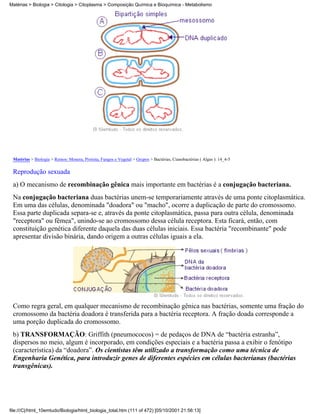 Matérias > Biologia > Citologia > Citoplasma > Composição Química e Bioquímica - Metabolismo




 Matérias > Biologia > Reinos: Monera, Protista, Fungos e Vegetal > Grupos > Bactérias, Cianobactérias ( Algas ): 14_4-5

 Reprodução sexuada
 a) O mecanismo de recombinação gênica mais importante em bactérias é a conjugação bacteriana.
 Na conjugação bacteriana duas bactérias unem-se temporariamente através de uma ponte citoplasmática.
 Em uma das células, denominada "doadora" ou "macho", ocorre a duplicação de parte do cromossomo.
 Essa parte duplicada separa-se e, através da ponte citoplasmática, passa para outra célula, denominada
 "receptora" ou fêmea", unindo-se ao cromossomo dessa célula receptora. Esta ficará, então, com
 constituição genética diferente daquela das duas células iniciais. Essa bactéria "recombinante" pode
 apresentar divisão binária, dando origem a outras células iguais a ela.




 Como regra geral, em qualquer mecanismo de recombinação gênica nas bactérias, somente uma fração do
 cromossomo da bactéria doadora é transferida para a bactéria receptora. A fração doada corresponde a
 uma porção duplicada do cromossomo.
 b) TRANSFORMAÇÃO: Griffith (pneumococos) = de pedaços de DNA de “bactéria estranha”,
 dispersos no meio, algum é incorporado, em condições especiais e a bactéria passa a exibir o fenótipo
 (característica) da “doadora”. Os cientistas têm utilizado a transformação como uma técnica de
 Engenharia Genética, para introduzir genes de diferentes espécies em células bacterianas (bactérias
 transgênicas).




file:///C|/html_10emtudo/Biologia/html_biologia_total.htm (111 of 472) [05/10/2001 21:56:13]
 