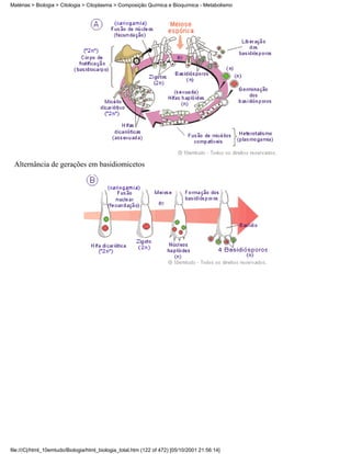 Matérias > Biologia > Citologia > Citoplasma > Composição Química e Bioquímica - Metabolismo




 Alternância de gerações em basidiomicetos




file:///C|/html_10emtudo/Biologia/html_biologia_total.htm (122 of 472) [05/10/2001 21:56:14]
 