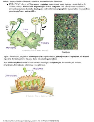 Matérias > Biologia > Citologia > Citoplasma > Composição Química e Bioquímica - Metabolismo

      q   HEPÁTICAS: são as briófitas menos evoluídas, apresentando ainda algumas características de
          talófitas, como a Marchantia. O gametófito de talo rastejante, com ramificações dicotômicas,
          apresenta estruturas chamadas de chapéus onde se formam arquegônios e anterídios, produzindo os
          gametas oosferas e anterozóides.




                                                                                               Hepáticas

 Após a fecundação, origina-se o esporófito (2n), dependente do gametófito (n). O esporófito, por meiose
 espórica, formará esporos (n), que darão novamente gametófitos.
 Nas Hepáticas (Marchantia) ocorre também outro tipo de reprodução, assexuada, por meio de
 propágulos, formados no interior de conceptáculos.




file:///C|/html_10emtudo/Biologia/html_biologia_total.htm (135 of 472) [05/10/2001 21:56:14]
 