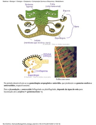 Matérias > Biologia > Citologia > Citoplasma > Composição Química e Bioquímica - Metabolismo




                                                                                     Folha com soros
 No protalo desenvolvem-se os gametângios arquegônio e anterídio, que produzem os gametas oosfera e
 anterozóides, respectivamente.
 Para a fecundação, o anterozóide biflagelado ou pluriflagelado, depende da água do solo para
 locomoção até a oosfera (= quimiotactismo +).




file:///C|/html_10emtudo/Biologia/html_biologia_total.htm (139 of 472) [05/10/2001 21:56:15]
 