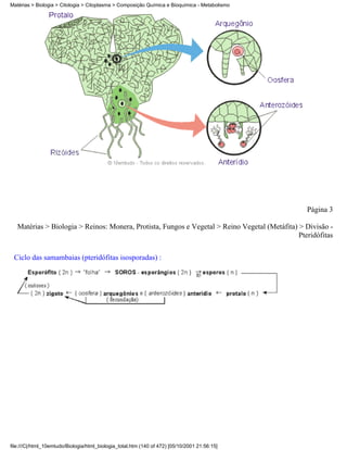 Matérias > Biologia > Citologia > Citoplasma > Composição Química e Bioquímica - Metabolismo




                                                                                                  Página 3

   Matérias > Biologia > Reinos: Monera, Protista, Fungos e Vegetal > Reino Vegetal (Metáfita) > Divisão -
                                                                                               Pteridófitas


 Ciclo das samambaias (pteridófitas isosporadas) :




file:///C|/html_10emtudo/Biologia/html_biologia_total.htm (140 of 472) [05/10/2001 21:56:15]
 