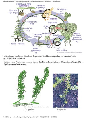 Matérias > Biologia > Citologia > Citoplasma > Composição Química e Bioquímica - Metabolismo




  Além da reprodução por alternância de gerações, também se reproduz por rizomas (caule)
    propagação vegetativa !
 Existem outras Pteridófitas, como as classes das Licopodíneas (gêneros Licopodium, Selaginella) e
 Equissetíneas (Equissetum).




                                     Lycopodium                                            Selaginella.


file:///C|/html_10emtudo/Biologia/html_biologia_total.htm (141 of 472) [05/10/2001 21:56:15]
 