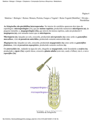 Matérias > Biologia > Citologia > Citoplasma > Composição Química e Bioquímica - Metabolismo




                                                                                                     Página 4

   Matérias > Biologia > Reinos: Monera, Protista, Fungos e Vegetal > Reino Vegetal (Metáfita) > Divisão -
                                                                                               Pteridófitas


 As Selaginellas são pteridófitas heterosporadas. No interior de estróbilos aparecem dois tipos de
 esporângios: microsporângios (2n), que por meiose espórica, produzirão numerosos micrósporos (n), de
 pequeno tamanho; e, megasporângios (2n), que através da meiose espórica, cada um produzirá 4
 megásporos (n), com tamanho maior que os micrósporos.
 Micrósporos (n), lançados ao solo, crescerão, produzindo microprotalos (n); estes serão os gametófitos
 masculinos, visto só possuirem anterídios, produzindo somente anterozóides (n).
 Megásporos (n), lançados ao solo, crescerão, produzindo megaprotalos (n); estes serão os gametófitos
 femininos, visto só possuirem arquegônios, produzindo somente oosferas (n).
 Os anterozóides (n) , nadando na água do solo, chegarão ao megaprotalo, onde fecundarão a oosfera (n),
 produzindo o zigoto (2n); a partir desse, crescerá a planta adulta (com raiz, caule e folhas), isto é, o novo
 esporófito (2n).




                                                        Estróbilo de Selaginella


file:///C|/html_10emtudo/Biologia/html_biologia_total.htm (142 of 472) [05/10/2001 21:56:15]
 