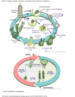 Matérias > Biologia > Citologia > Citoplasma > Composição Química e Bioquímica - Metabolismo




 Ciclos reprodutivos comparados.

file:///C|/html_10emtudo/Biologia/html_biologia_total.htm (143 of 472) [05/10/2001 21:56:15]
 