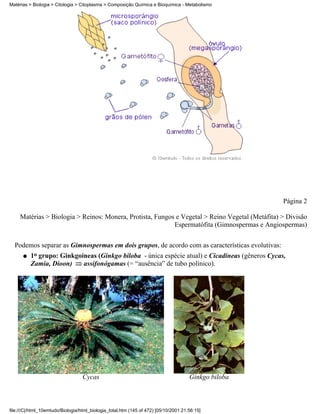 Matérias > Biologia > Citologia > Citoplasma > Composição Química e Bioquímica - Metabolismo




                                                                                                      Página 2

     Matérias > Biologia > Reinos: Monera, Protista, Fungos e Vegetal > Reino Vegetal (Metáfita) > Divisão
                                                           Espermatófita (Gimnospermas e Angiospermas)


  Podemos separar as Gimnospermas em dois grupos, de acordo com as características evolutivas:
      q   1o grupo: Ginkgoíneas (Ginkgo biloba - única espécie atual) e Cicadíneas (gêneros Cycas,
          Zamia, Dioon)    assifonógamas (= “ausência” de tubo polínico).




                                   Cycas                                              Ginkgo biloba



file:///C|/html_10emtudo/Biologia/html_biologia_total.htm (145 of 472) [05/10/2001 21:56:15]
 
