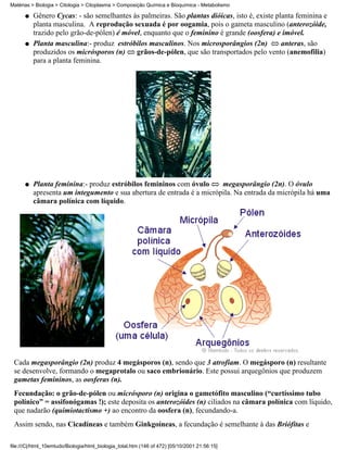Matérias > Biologia > Citologia > Citoplasma > Composição Química e Bioquímica - Metabolismo

      q   Gênero Cycas: - são semelhantes às palmeiras. São plantas dióicas, isto é, existe planta feminina e
          planta masculina. A reprodução sexuada é por oogamia, pois o gameta masculino (anterozóide,
          trazido pelo grão-de-pólen) é móvel, enquanto que o feminino é grande (oosfera) e imóvel.
      q   Planta masculina:- produz estróbilos masculinos. Nos microsporângios (2n)           anteras, são
          produzidos os micrósporos (n)     grãos-de-pólen, que são transportados pelo vento (anemofilia)
          para a planta feminina.




      q   Planta feminina:- produz estróbilos femininos com óvulo      megasporângio (2n). O óvulo
          apresenta um integumento e sua abertura de entrada é a micrópila. Na entrada da micrópila há uma
          câmara polínica com líquido.




 Cada megasporângio (2n) produz 4 megásporos (n), sendo que 3 atrofiam. O megásporo (n) resultante
 se desenvolve, formando o megaprotalo ou saco embrionário. Este possui arquegônios que produzem
 gametas femininos, as oosferas (n).
 Fecundação: o grão-de-pólen ou micrósporo (n) origina o gametófito masculino (“curtíssimo tubo
 polínico” = assifonógamas !); este deposita os anterozóides (n) ciliados na câmara polínica com líquido,
 que nadarão (quimiotactismo +) ao encontro da oosfera (n), fecundando-a.
 Assim sendo, nas Cicadíneas e também Ginkgoíneas, a fecundação é semelhante à das Briófitas e

file:///C|/html_10emtudo/Biologia/html_biologia_total.htm (146 of 472) [05/10/2001 21:56:15]
 