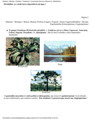Matérias > Biologia > Citologia > Citoplasma > Composição Química e Bioquímica - Metabolismo

 Pteridófitas, por ainda haver dependência da água !




                                                                                                       Página 3

     Matérias > Biologia > Reinos: Monera, Protista, Fungos e Vegetal > Reino Vegetal (Metáfita) > Divisão
                                                           Espermatófita (Gimnospermas e Angiospermas)


      q   2o grupo: Gnetíneas (Welwitschia mirabilis) e Coníferas (gêneros Pinus, Cupressus, Araucaria,
          Cedrus, Sequoia, Taxodium)     sifonógamas. São as mais evoluídas e mais importantes
          atualmente.




                                                                                               Taiga
                         Welwitschia




                                                                 Araucaria
  O gametófito masculino é o tubo polínico (sifonogamia), que cresce (= quimiotropismo +) em direção
 ao saco embrionário, que contém a oosfera. Este também é o processo que ocorre nas Angiospermas !




file:///C|/html_10emtudo/Biologia/html_biologia_total.htm (147 of 472) [05/10/2001 21:56:15]
 