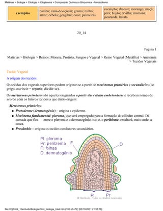 Matérias > Biologia > Citologia > Citoplasma > Composição Química e Bioquímica - Metabolismo

                                                                                               eucalipto; abacate; morango; maçã;
                                bambu; cana-de-açúcar; grama; milho;
          exemplos                                                                             pera; feijão; ervilha; mamona;
                                arroz; cebola; gengibre; coco; palmeiras.
                                                                                               jacarandá; batata.



                                                                    20_14



                                                                                                                          Página 1

  Matérias > Biologia > Reinos: Monera, Protista, Fungos e Vegetal > Reino Vegetal (Metáfita) > Anatomia
                                                                                     > Tecidos Vegetais


 Tecido Vegetal
 A origem dos tecidos.
 Os tecidos dos vegetais superiores podem originar-se a partir de meristemas primários e secundários (do
 grego, merizein = repartir, dividir-se).
 Os meristemas primários são aqueles originados a partir das células embrionárias e recebem nomes de
 acordo com os futuros tecidos a que darão origem:
    Meristemas primários:
     q Protoderme (dermatogênio) – origina a epiderme.

     q Meristema fundamental: pleroma, que será empregado para a formação do cilindro central. Da
       camada que fica    entre o pleroma e o dermatogênio, isto é, o periblema, resultará, mais tarde, a
       casca.
     q Procâmbio – origina os tecidos condutores secundários.




file:///C|/html_10emtudo/Biologia/html_biologia_total.htm (160 of 472) [05/10/2001 21:56:16]
 