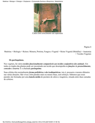 Matérias > Biologia > Citologia > Citoplasma > Composição Química e Bioquímica - Metabolismo




                                               Caule com crescimento em espessura




                                                                                               Página 4

  Matérias > Biologia > Reinos: Monera, Protista, Fungos e Vegetal > Reino Vegetal (Metáfita) > Anatomia
                                                                                     > Tecidos Vegetais


          Os parênquimas.
 Nos vegetais, há vários tecidos funcionalmente comparáveis aos tecidos conjuntivos dos animais. Em
 todos os órgãos das plantas pode ser encontrado um tecido que desempenha as funções de preenchimento,
 conexão e reserva. É o chamado parênquima.
 Suas células têm normalmente forma poliédrica e são isodiamétricas, isto é, possuem o mesmo diâmetro
 nas várias direções. São vivas e têm paredes mais ou menos finas, sem reforços. Sabemos que essas
 paredes são formadas por uma lamela média de pectatos de cálcio e magnésio, situada entre duas camadas
 de celulose.




file:///C|/html_10emtudo/Biologia/html_biologia_total.htm (164 of 472) [05/10/2001 21:56:16]
 