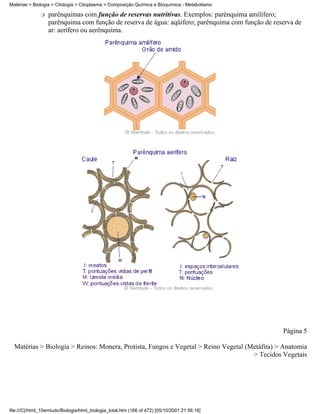 Matérias > Biologia > Citologia > Citoplasma > Composição Química e Bioquímica - Metabolismo

              r   parênquimas com função de reservas nutritivas. Exemplos: parênquima amilífero;
                  parênquima com função de reserva de água: aqüífero; parênquima com função de reserva de
                  ar: aerífero ou aerênquima.




                                                                                                  Página 5

  Matérias > Biologia > Reinos: Monera, Protista, Fungos e Vegetal > Reino Vegetal (Metáfita) > Anatomia
                                                                                     > Tecidos Vegetais




file:///C|/html_10emtudo/Biologia/html_biologia_total.htm (166 of 472) [05/10/2001 21:56:16]
 