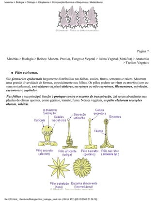 Matérias > Biologia > Citologia > Citoplasma > Composição Química e Bioquímica - Metabolismo




                                                                                                 Página 7

  Matérias > Biologia > Reinos: Monera, Protista, Fungos e Vegetal > Reino Vegetal (Metáfita) > Anatomia
                                                                                     > Tecidos Vegetais

      q   Pêlos e tricomas.
 São formações epidermais largamente distribuídas nas folhas, caules, frutos, sementes e raízes. Mostram
 uma grande diversidade de formas, especialmente nas folhas. Os pêlos podem ser vivos ou mortos (com ou
 sem protoplasma); unicelulares ou pluricelulares; secretores ou não-secretores; filamentares, estrelados,
 escamosos e capitados.
 Nas folhas a sua principal função é proteger contra o excesso de transpiração, daí serem abundantes nas
 plantas de climas quentes, como gerânio, tomate, fumo. Nesses vegetais, os pêlos elaboram secreções
 oleosas, voláteis.




file:///C|/html_10emtudo/Biologia/html_biologia_total.htm (168 of 472) [05/10/2001 21:56:16]
 