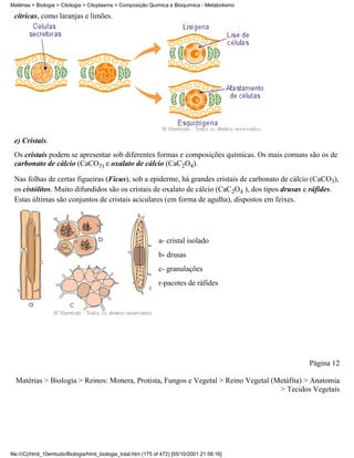 Matérias > Biologia > Citologia > Citoplasma > Composição Química e Bioquímica - Metabolismo

 cítricas, como laranjas e limões.




 e) Cristais.
 Os cristais podem se apresentar sob diferentes formas e composições químicas. Os mais comuns são os de
 carbonato de cálcio (CaCO3) e oxalato de cálcio (CaC2O4).

 Nas folhas de certas figueiras (Ficus), sob a epiderme, há grandes cristais de carbonato de cálcio (CaCO3),
 os cistólitos. Muito difundidos são os cristais de oxalato de cálcio (CaC2O4 ), dos tipos drusas e ráfides.
 Estas últimas são conjuntos de cristais aciculares (em forma de agulha), dispostos em feixes.




                                                                a- cristal isolado
                                                                b- drusas
                                                                c- granulações
                                                                r-pacotes de ráfides




                                                                                                  Página 12

  Matérias > Biologia > Reinos: Monera, Protista, Fungos e Vegetal > Reino Vegetal (Metáfita) > Anatomia
                                                                                     > Tecidos Vegetais




file:///C|/html_10emtudo/Biologia/html_biologia_total.htm (175 of 472) [05/10/2001 21:56:16]
 