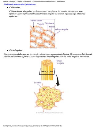 Matérias > Biologia > Citologia > Citoplasma > Composição Química e Bioquímica - Metabolismo

 Tecidos de sustentação (mecânicos).
    q Colênquima.

          Células vivas e alongadas, geralmente com cloroplastos. As paredes são espessas, sem
          lignina. Ocorre espessamento característico: angular ou lamelar. Aparece logo abaixo da
          epiderme.




      q   Esclerênquima.
 Composto por células mortas. As paredes são espessas, apresentanto lignina. Destacam-se dois tipos de
 células: esclereídeos e fibras. Ocorre logo abaixo do colênquima e/ou ao redor de feixes vasculares.




file:///C|/html_10emtudo/Biologia/html_biologia_total.htm (176 of 472) [05/10/2001 21:56:16]
 
