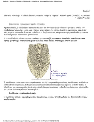 Matérias > Biologia > Citologia > Citoplasma > Composição Química e Bioquímica - Metabolismo




                                                                                                 Página 4

  Matérias > Biologia > Reinos: Monera, Protista, Fungos e Vegetal > Reino Vegetal (Metáfita) > Anatomia
                                                                                      > Órgãos Vegetais


          Crescimento e origem dos tecidos primários.
 Aparentemente, o crescimento de muitas raízes é um processo quase contínuo, que cessa apenas sob
 condições adversas, tais como seca e baixas temperaturas. As raízes, durante o crescimento através do
 solo, seguem o caminho de menor resistência e, freqüentemente, ocupam os espaços deixados por raízes
 mais antigas que morreram e apodreceram.
 A extremidade da raiz encontra-se recoberta por uma coifa, uma massa de células semelhante a um
 capuz, que protege o meristema apical e auxilia a raiz na sua penetração através do solo.




 À medida que a raiz cresce em comprimento e a coifa é empurrada para diante, as células da periferia da
 coifa sofrem descamação. Esta células descamadas formam uma capa mucilaginosa ao redor da raiz e
 lubrificam sua passagem através do solo. As células descamadas da coifa são imediatamente substituídas
 por outras formadas pelo meristema apical.
          Regiões de crescimento da raiz.
 O meristema apical e a porção próxima da raiz onde ocorre a divisão celular são denominados região
 meristemática.




file:///C|/html_10emtudo/Biologia/html_biologia_total.htm (188 of 472) [05/10/2001 21:56:17]
 