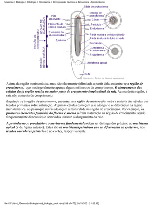 Matérias > Biologia > Citologia > Citoplasma > Composição Química e Bioquímica - Metabolismo




 Acima da região meristemática, mas não claramente delimitada a partir dela, encontra-se a região de
 crescimento, que mede geralmente apenas alguns milímetros de comprimento. O alongamento das
 células desta região resulta na maior parte do crescimento longitudinal da raiz. Acima desta região, a
 raiz não aumenta de comprimento.
 Seguindo-se à região de crescimento, encontra-se a região de maturação, onde a maioria das células dos
 tecidos primários sofre maturação. Algumas células começam a se alongar e se diferenciar na região
 meristemática, ao passo que outras alcançam a maturidade na região de crescimento. Por exemplo, os
 primeiros elementos formados do floema e xilema sofrem maturação na região de crescimento, sendo
 freqüentemente distendidos e destruídos durante o alongamento da raiz.
 A protoderme, o procâmbio e o meristema fundamental podem ser distinguidos próximo ao meristema
 apical (vide figura anterior). Estes são os meristemas primários que se diferenciam na epiderme, nos
 tecidos vasculares primários e no córtex, respectivamente.




file:///C|/html_10emtudo/Biologia/html_biologia_total.htm (189 of 472) [05/10/2001 21:56:17]
 