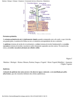 Matérias > Biologia > Citologia > Citoplasma > Composição Química e Bioquímica - Metabolismo




 Estrutura primária.
 A estrutura primária da raiz é relativamente simples quando comparada com a do caule, o que é devido,
 em grande parte, à ausência de folhas na raiz e à ausência correspondente de nós e entrenós.
 A epiderme (sistema de tecido de revestimento), o córtex (sistema de tecido fundamental) e os tecidos
 vasculares (sistema de tecidos vasculares) estão claramente separados uns dos outros. Na maioria das
 raízes, os tecidos vasculares formam um cilindro sólido.




                                                                                                  Página 5

  Matérias > Biologia > Reinos: Monera, Protista, Fungos e Vegetal > Reino Vegetal (Metáfita) > Anatomia
                                                                                      > Órgãos Vegetais


 Epiderme.
 A função da epiderme das raízes jovens é de absorver água e minerais, sendo facilitada por pêlos
 absorventes, que são extensões tubulares das células epidérmicas.




file:///C|/html_10emtudo/Biologia/html_biologia_total.htm (190 of 472) [05/10/2001 21:56:17]
 