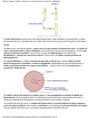 Matérias > Biologia > Citologia > Citoplasma > Composição Química e Bioquímica - Metabolismo




 Os pêlos absorventes possuem uma vida relativamente curta e estão limitados, em grande parte, à região
 de maturação da raiz. A produção de novos pêlos absorventes ocorre logo acima da região de crescimento.
 Córtex.
 O córtex ocupa, sem dúvida alguma, a maior área do corpo primário da maioria das raízes. As células do
 córtex armazenam amilo e outras substâncias, mas comumente, não possuem cloroplastos. As raízes que
 sofrem crescimento secundário – que incluem as raízes das gimnospermas e da maioria das
 dicotiledôneas – perdem seu córtex precocemente. Nestas raízes, as células corticais permanecem
 parenquimatosas.
 Nas monocotiledôneas, o córtex é mantido durante toda a vida da raiz, e muitas células corticais
 desenvolvem paredes secundárias e tornam-se lignificadas. Independente do grau de diferenciação, o
 tecido cortical possui numerosos espaços intercelulares – espaços cheios de ar, essenciais para a
 aeração das células da raiz.




 As células corticais têm numerosos contatos entre si e seus protoplasmas encontram-se ligados por
 plasmodesmos. Em conseqüência disso, as substâncias que transitam pelo córtex podem atravessar as
 células por intermédio do protoplasma e dos plasmodesmos ou das paredes celulares.
 Ao contrário do resto do córtex, a camada mais interna deste se encontra disposta de modo compacto e
 carece de espaços aeríferos. Esta camada, a endoderme, se caracteriza pela presença das fitas de Caspary
 em suas paredes anticlinais (isto é, as paredes perpendiculares à superfície da raiz).



file:///C|/html_10emtudo/Biologia/html_biologia_total.htm (191 of 472) [05/10/2001 21:56:17]
 
