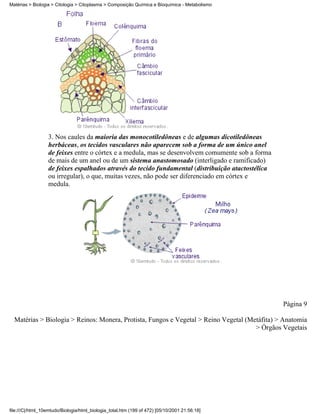 Matérias > Biologia > Citologia > Citoplasma > Composição Química e Bioquímica - Metabolismo




                  3. Nos caules da maioria das monocotiledôneas e de algumas dicotiledôneas
                  herbáceas, os tecidos vasculares não aparecem sob a forma de um único anel
                  de feixes entre o córtex e a medula, mas se desenvolvem comumente sob a forma
                  de mais de um anel ou de um sistema anastomosado (interligado e ramificado)
                  de feixes espalhados através do tecido fundamental (distribuição atactostélica
                  ou irregular), o que, muitas vezes, não pode ser diferenciado em córtex e
                  medula.




                                                                                                   Página 9

  Matérias > Biologia > Reinos: Monera, Protista, Fungos e Vegetal > Reino Vegetal (Metáfita) > Anatomia
                                                                                      > Órgãos Vegetais




file:///C|/html_10emtudo/Biologia/html_biologia_total.htm (199 of 472) [05/10/2001 21:56:18]
 