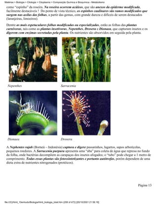 Matérias > Biologia > Citologia > Citoplasma > Composição Química e Bioquímica - Metabolismo

 como “espinho” da roseira. Na roseira ocorrem acúleos, que são anexos da epiderme modificada,
 facilmente destacáveis ! Do ponto de vista técnico, os espinhos caulinares são ramos modificados que
 surgem nas axilas das folhas, a partir das gemas, com grande dureza e difíceis de serem destacados
 (laranjeiras, limoeiros).
 Dentre as mais espetaculares folhas modificadas ou especializadas, estão as folhas das plantas
 carnívoras, tais como as plantas insetívoras, Nepenthes, Drosera e Dionaea, que capturam insetos e os
 digerem com enzimas secretadas pela planta. Os nutrientes são absorvidos em seguida pela planta.




  Nepenthes                                           Sarracenia




  Dionaea                                             Drosera

 A Nephentes rajah (Borneú – Indonésia) captura e digere passarinhos, lagartos, sapos arborícolas,
 pequenos roedores. A Sarracenia purpura apresenta uma “aba” para coleta de água que represa no fundo
 da folha, onde bactérias decompõem as carapaças dos insetos afogados; o “tubo” pode chegar a 1 metro de
 comprimento. Todas essas plantas são fotossintetizantes e portanto autótrofas, porém dependem de uma
 dieta extra de nutrientes nitrogenados (protéicos).




                                                                                               Página 13



file:///C|/html_10emtudo/Biologia/html_biologia_total.htm (208 of 472) [05/10/2001 21:56:18]
 