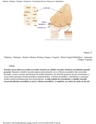 Matérias > Biologia > Citologia > Citoplasma > Composição Química e Bioquímica - Metabolismo




                                                                                                Página 17

  Matérias > Biologia > Reinos: Monera, Protista, Fungos e Vegetal > Reino Vegetal (Metáfita) > Anatomia
                                                                                      > Órgãos Vegetais


          Casca.
 O termo casca refere-se a todos os tecidos externos ao câmbio vascular, inclusive a periderme quando
 presente. Quando o câmbio vascular aparece pela primeira vez e o floema secundário não está ainda
 formado, a casca consiste inteiramente de tecidos primários. No final do primeiro ano de crescimento, a
 casca inclui quaisquer tecidos primários ainda presentes, o floema secundário, a periderme e quaisquer
 tecidos mortos permanecendo fora da periderme. A cada estação de crescimento, o câmbio vascular
 acrescenta floema secundário à casca e xilema secundário, ou madeira, ao centro do caule ou da raiz.




file:///C|/html_10emtudo/Biologia/html_biologia_total.htm (215 of 472) [05/10/2001 21:56:18]
 
