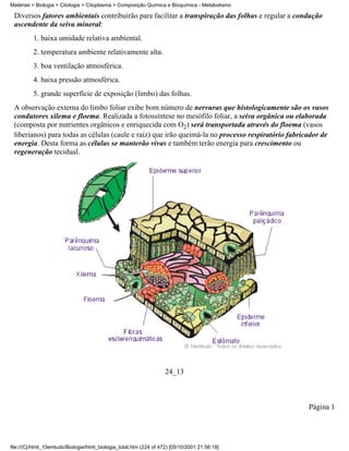 Matérias > Biologia > Citologia > Citoplasma > Composição Química e Bioquímica - Metabolismo

 Diversos fatores ambientais contribuirão para facilitar a transpiração das folhas e regular a condução
 ascendente da seiva mineral:
          1. baixa umidade relativa ambiental.
          2. temperatura ambiente relativamente alta.
          3. boa ventilação atmosférica.
          4. baixa pressão atmosférica.
          5. grande superfície de exposição (limbo) das folhas.
 A observação externa do limbo foliar exibe bom número de nervuras que histologicamente são os vasos
 condutores xilema e floema. Realizada a fotossíntese no mesófilo foliar, a seiva orgânica ou elaborada
 (composta por nutrientes orgânicos e enriquecida com O2) será transportada através do floema (vasos
 liberianos) para todas as células (caule e raiz) que irão queimá-la no processo respiratório fabricador de
 energia. Desta forma as células se manterão vivas e também terão energia para crescimento ou
 regeneração tecidual.




                                                                    24_13



                                                                                                    Página 1




file:///C|/html_10emtudo/Biologia/html_biologia_total.htm (224 of 472) [05/10/2001 21:56:19]
 