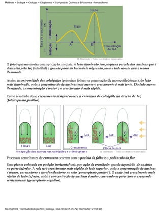 Matérias > Biologia > Citologia > Citoplasma > Composição Química e Bioquímica - Metabolismo




 O fototropismo mostra uma aplicação imediata: o lado iluminado tem pequena parcela das auxinas que é
 destruída pela luz (fotolábil) e grande parte do hormônio migrando para o lado oposto que é menos
 iluminado.

 Assim, na extremidade das coleóptiles (primeiras folhas na germinação de monocotiledôneas), do lado
 mais iluminado, onde a concentração de auxinas está menor o crescimento é mais lento. Do lado menos
 iluminado, a concentração é maior e o crescimento é mais rápido.

 Como resultado desse crescimento desigual ocorre a curvatura da coleóptile na direção da luz
 (fototropismo positivo).




 Processos semelhantes de curvatura ocorrem com o pecíolo da folha e o pedúnculo da flor.
 Uma planta colocada em posição horizontal terá, por ação da gravidade, grande deposição de auxinas
 na parte inferior. A raiz terá crescimento mais rápido do lado superior, onde a concentração de auxinas
 é menor, curvando-se e aprofundando-se no solo (geotropismo positivo). O caule terá crescimento mais
 rápido do lado inferior, onde a concentração de auxinas é maior, curvando-se para cima e crescendo
 verticalmente (geotropismo negativo).




file:///C|/html_10emtudo/Biologia/html_biologia_total.htm (247 of 472) [05/10/2001 21:56:20]
 