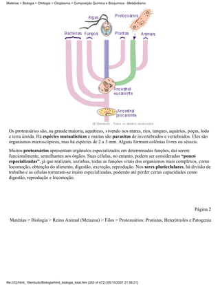 Matérias > Biologia > Citologia > Citoplasma > Composição Química e Bioquímica - Metabolismo




 Os protozoários são, na grande maioria, aquáticos, vivendo nos mares, rios, tanques, aquários, poças, lodo
 e terra úmida. Há espécies mutualísticas e muitas são parasitas de invertebrados e vertebrados. Eles são
 organismos microscópicos, mas há espécies de 2 a 3 mm. Alguns formam colônias livres ou sésseis.
 Muitos protozoários apresentam orgânulos especializados em determinadas funções, daí serem
 funcionalmente, semelhantes aos órgãos. Suas células, no entanto, podem ser consideradas “pouco
 especializadas”, já que realizam, sozinhas, todas as funções vitais dos organismos mais complexos, como
 locomoção, obtenção do alimento, digestão, excreção, reprodução. Nos seres pluricelulares, há divisão de
 trabalho e as células tornaram-se muito especializadas, podendo até perder certas capacidades como
 digestão, reprodução e locomoção.




                                                                                                   Página 2

  Matérias > Biologia > Reino Animal (Metazoa) > Filos > Protozoários: Protistas, Heterótrofos e Patogenia




file:///C|/html_10emtudo/Biologia/html_biologia_total.htm (263 of 472) [05/10/2001 21:56:21]
 