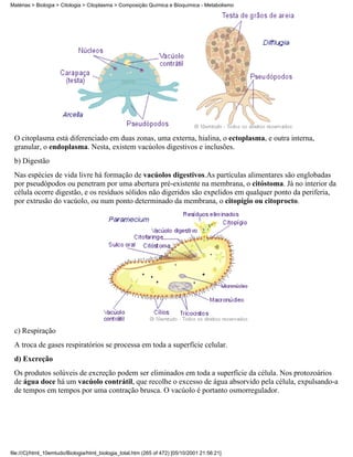 Matérias > Biologia > Citologia > Citoplasma > Composição Química e Bioquímica - Metabolismo




 O citoplasma está diferenciado em duas zonas, uma externa, hialina, o ectoplasma, e outra interna,
 granular, o endoplasma. Nesta, existem vacúolos digestivos e inclusões.
 b) Digestão
 Nas espécies de vida livre há formação de vacúolos digestivos.As partículas alimentares são englobadas
 por pseudópodos ou penetram por uma abertura pré-existente na membrana, o citóstoma. Já no interior da
 célula ocorre digestão, e os resíduos sólidos não digeridos são expelidos em qualquer ponto da periferia,
 por extrusão do vacúolo, ou num ponto determinado da membrana, o citopígio ou citoprocto.




 c) Respiração
 A troca de gases respiratórios se processa em toda a superfície celular.
 d) Excreção
 Os produtos solúveis de excreção podem ser eliminados em toda a superfície da célula. Nos protozoários
 de água doce há um vacúolo contrátil, que recolhe o excesso de água absorvido pela célula, expulsando-a
 de tempos em tempos por uma contração brusca. O vacúolo é portanto osmorregulador.




file:///C|/html_10emtudo/Biologia/html_biologia_total.htm (265 of 472) [05/10/2001 21:56:21]
 