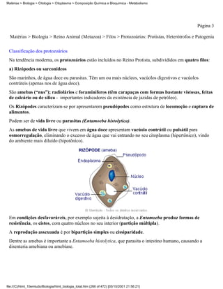 Matérias > Biologia > Citologia > Citoplasma > Composição Química e Bioquímica - Metabolismo




                                                                                                 Página 3

  Matérias > Biologia > Reino Animal (Metazoa) > Filos > Protozoários: Protistas, Heterótrofos e Patogenia


 Classificação dos protozoários
 Na tendência moderna, os protozoários estão incluídos no Reino Protista, subdivididos em quatro filos:
 a) Rizópodes ou sarconídeos
 São marinhos, de água doce ou parasitas. Têm um ou mais núcleos, vacúolos digestivos e vacúolos
 contráteis (apenas nos de água doce).
 São amebas (“nus”); radiolários e foraminíferos (têm carapaças com formas bastante vistosas, feitas
 de calcário ou de sílica - importantes indicadores da existência de jazidas de petróleo).
 Os Rizópodes caracterizam-se por apresentarem pseudópodes como estrutura de locomoção e captura de
 alimentos.
 Podem ser de vida livre ou parasitas (Entamoeba histolytica).
 As amebas de vida livre que vivem em água doce apresentam vacúolo contrátil ou pulsátil para
 osmorregulação, eliminando o excesso de água que vai entrando no seu citoplasma (hipertônico), vindo
 do ambiente mais diluído (hipotônico).




 Em condições desfavoráveis, por exemplo sujeita à desidratação, a Entamoeba produz formas de
 resistência, os cistos, com quatro núcleos no seu interior (partição múltipla).
 A reprodução assexuada é por bipartição simples ou cissiparidade.
 Dentre as amebas é importante a Entamoeba histolytica, que parasita o intestino humano, causando a
 disenteria amebiana ou amebíase.




file:///C|/html_10emtudo/Biologia/html_biologia_total.htm (266 of 472) [05/10/2001 21:56:21]
 