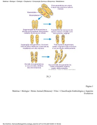 Matérias > Biologia > Citologia > Citoplasma > Composição Química e Bioquímica - Metabolismo




                                                                     29_3



                                                                                                  Página 1

               Matérias > Biologia > Reino Animal (Metazoa) > Filos > Classificação Embriológica e Aspectos
                                                                                                 Evolutivos




file:///C|/html_10emtudo/Biologia/html_biologia_total.htm (273 of 472) [05/10/2001 21:56:22]
 