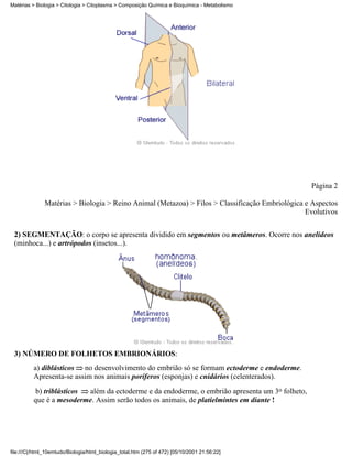 Matérias > Biologia > Citologia > Citoplasma > Composição Química e Bioquímica - Metabolismo




                                                                                                  Página 2

               Matérias > Biologia > Reino Animal (Metazoa) > Filos > Classificação Embriológica e Aspectos
                                                                                                 Evolutivos

 2) SEGMENTAÇÃO: o corpo se apresenta dividido em segmentos ou metâmeros. Ocorre nos anelídeos
 (minhoca...) e artrópodos (insetos...).




 3) NÚMERO DE FOLHETOS EMBRIONÁRIOS:
          a) diblásticos no desenvolvimento do embrião só se formam ectoderme e endoderme.
          Apresenta-se assim nos animais poríferos (esponjas) e cnidários (celenterados).
          b) triblásticos além da ectoderme e da endoderme, o embrião apresenta um 3o folheto,
          que é a mesoderme. Assim serão todos os animais, de platielmintes em diante !




file:///C|/html_10emtudo/Biologia/html_biologia_total.htm (275 of 472) [05/10/2001 21:56:22]
 