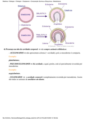 Matérias > Biologia > Citologia > Citoplasma > Composição Química e Bioquímica - Metabolismo




 4) Presença ou não de cavidade corporal                        são sempre animais triblásticos:
          - ACELOMADOS                 não apresentam celoma (= cavidade), pois a mesoderme é compacta.
          Exemplo:
          platielmintes.
          - PSEUDOCELOMADOS                       há cavidade, a qual, porém, está só parcialmente revestida por
          mesoderme.
          Exemplo:
          asquielmintes.
          - CELOMADOS          a cavidade corporal é completamente revestida por mesoderme. Assim
          são todos os animais de anelídeos em diante.




file:///C|/html_10emtudo/Biologia/html_biologia_total.htm (276 of 472) [05/10/2001 21:56:22]
 