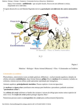Matérias > Biologia > Citologia > Citoplasma > Composição Química e Bioquímica - Metabolismo

          típica, livre-natante - anfiblástula - que sai pelo ósculo, fixa-se em um substrato e cresce,
          originando novo indivíduo.
 O zigoto desenvolve-se até blástula flagelada móvel; a gastrulação será diferente dos outros metazoários
 !




                                                                     31_5



                                                                                                          Página 1

                               Matérias > Biologia > Reino Animal (Metazoa) > Filos > Celenterados ou Cnidários


 Celenterados ou cnidários
 Pluricelulares, enterozóarios (com cavidade gástrica), diblásticos - exclusivamente aquáticos; dotados de
 células urticantes (cnidoblastos); duas formas básicas; pólipo (fixo) e medusa (livre-natante); isolados ou
 coloniais; sistema nervoso difuso; pode apresentar reprodução por metagênese.
 Animais aquáticos, principalmente marinhos. Poucas espécies vivem em água doce.
 As medusas ou águas-vivas constituem uma ameaça para banhistas e pescadores, podendo ocasionar
 "queimaduras sérias".
 As colônias de corais enfeitam os fundos dos oceanos e servem de abrigo para muitas outras espécies de
 seres vivos. Os recifes de corais podem proteger algumas ilhas !
 Numerosas pessoas usam os exoesqueletos dos corais para confeccionarem bijouterias.


file:///C|/html_10emtudo/Biologia/html_biologia_total.htm (281 of 472) [05/10/2001 21:56:22]
 